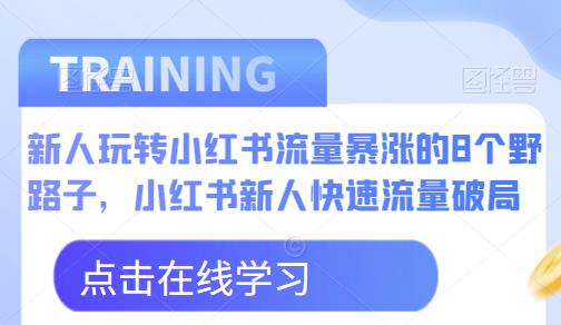新人玩转小红书流量暴涨的8个野路子,小红书新人快速流量破局-知一资源网