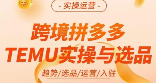伍跃·跨境拼多多TEMU实操与选品，​趋势/选品/运营/入住（27节完整）-知一资源网