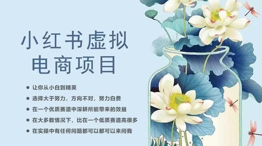 小红书虚拟电商从0到1,让你从小白到精英(20节实操课程)-知一资源网