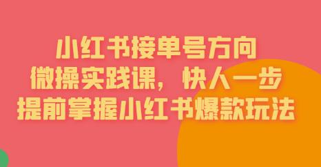 接单号方向·小红书微操实践课,快人一步,提前掌握小红书爆款玩法-知一资源网
