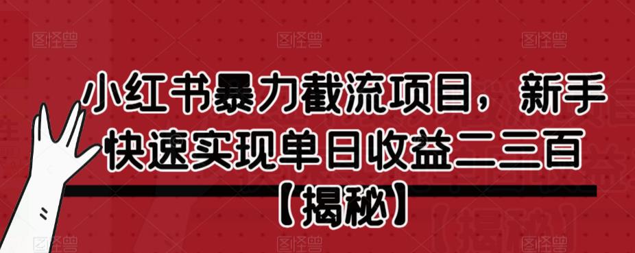 小红书暴力截流项目，新手快速实现单日收益二三百【仅揭秘】-知一资源网