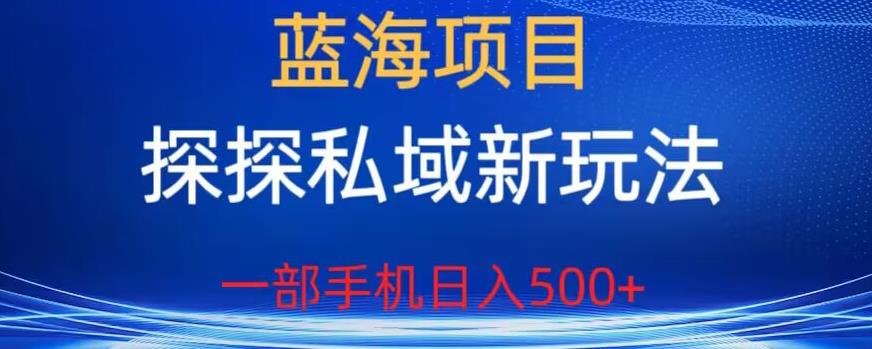 蓝海项目,探探私域新玩法,一部手机日入500+很轻松【揭秘】-知一资源网