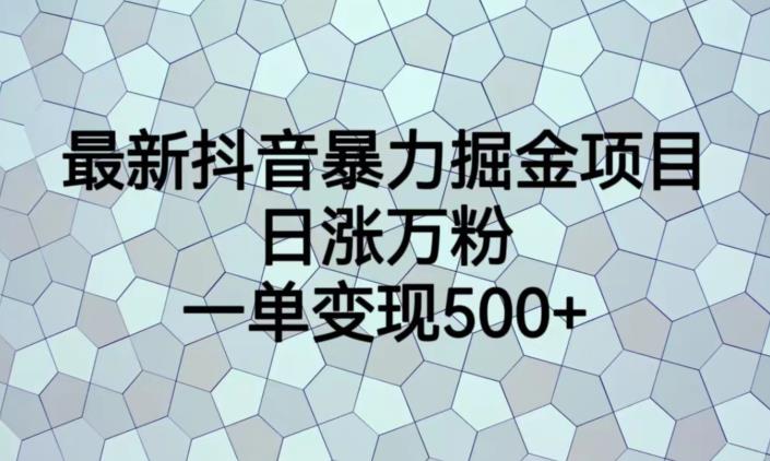 最新抖音暴力掘金项目，日涨万粉，一单变现500+【揭秘】-知一资源网