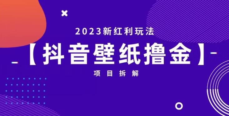 抖音壁纸小程序创作者撸金项目，2023新红利玩法【项目拆解】-知一资源网