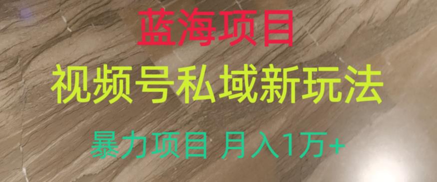 蓝海项目,视频号私域新玩法,暴力项目月入1万+【揭秘】-知一资源网