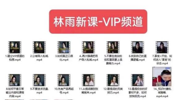 林雨新课VIP频道,玩赚私域/朋友圈/社群-知一资源网