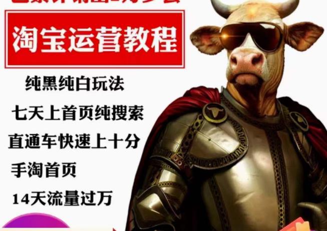 猫老师·淘系算法逆向解密,纯黑纯白玩法,七天上首页纯搜索,手淘首页14天流量过万-知一资源网