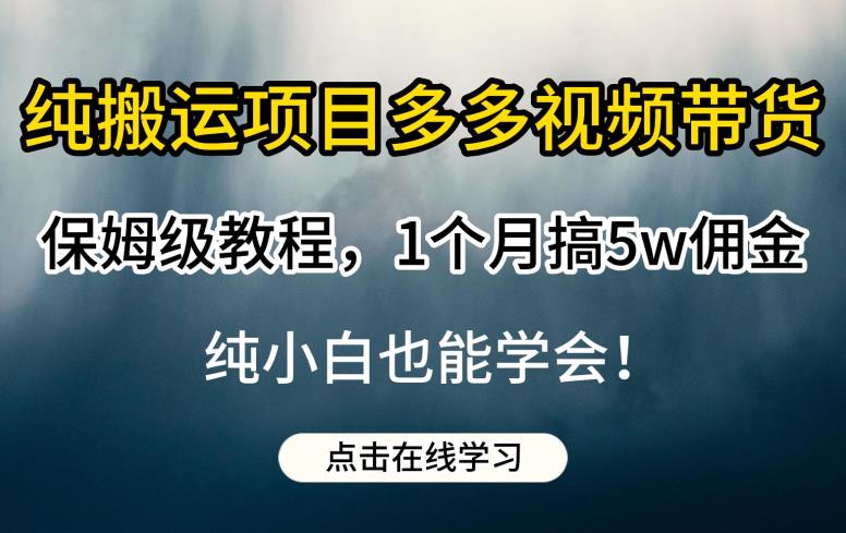 纯搬运项目多多视频带货保姆级教程,1个月搞5w佣金,纯小白也能学会【揭秘】-知一资源网