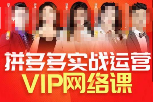 推易拼多多VIP全套直播课程,拼多多店铺实操玩法+实战玩法选款内功+直通车高阶等-知一资源网