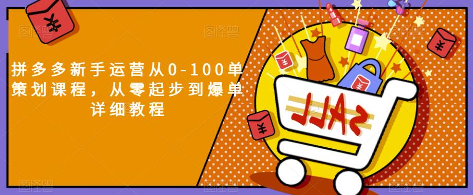 拼多多新手运营从0-100单策划课程,从零起步到爆单详细教程-知一资源网