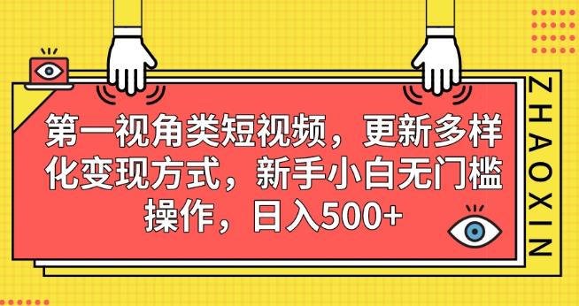 第一视角类短视频，更新多样化变现方式，新手小白无门槛操作，日入500+【揭秘】-知一资源网