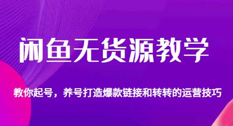 闲鱼无货源教学,教你起号,养号打造爆款链接以及转转的运营技巧-知一资源网