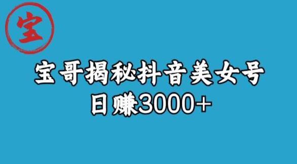 宝哥揭秘抖音美女号玩法,日赚3000+【揭秘】-知一资源网