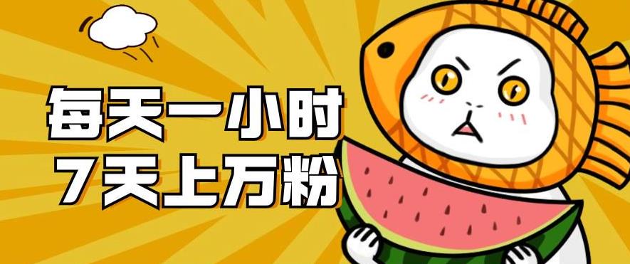 暴力涨粉项目:每天一小时,七天上万粉【揭秘】-知一资源网