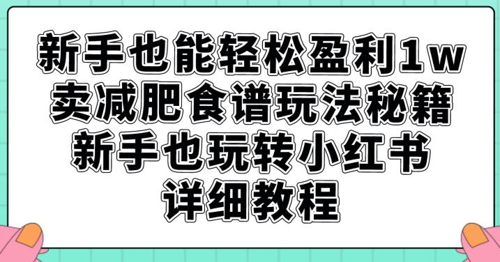 新手也能轻松盈利1w，卖减肥食谱玩法秘籍，新手也玩转小红书详细教程【揭秘】-知一资源网
