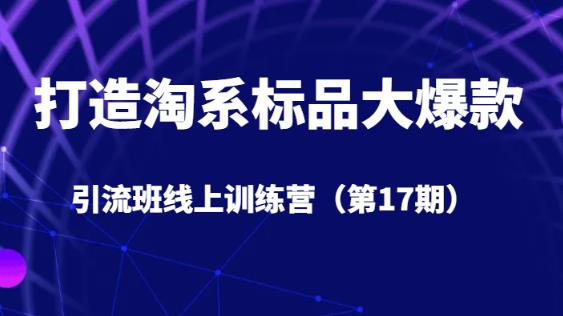 打造淘系标品大爆款引流班线上训练营(第17期)5天直播授课-知一资源网