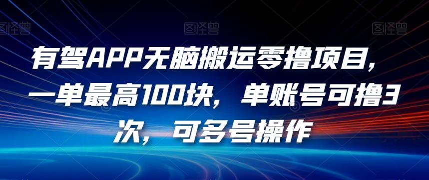 有驾APP无脑搬运零撸项目,一单最高100块,单账号可撸3次,可多号操作【揭秘】-知一资源网