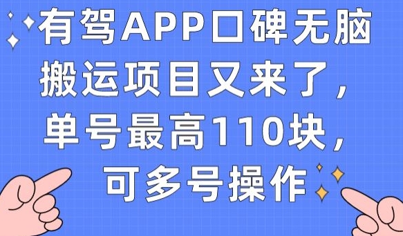 有驾APP口碑无脑搬运项目又来了，单号最高110块，可多号操作-知一资源网