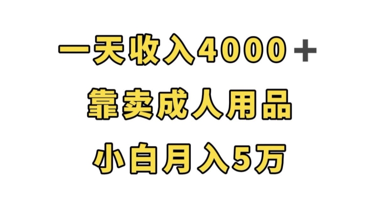 一天收入4000+,靠卖成人用品,小白轻松月入5万【揭秘】-知一资源网