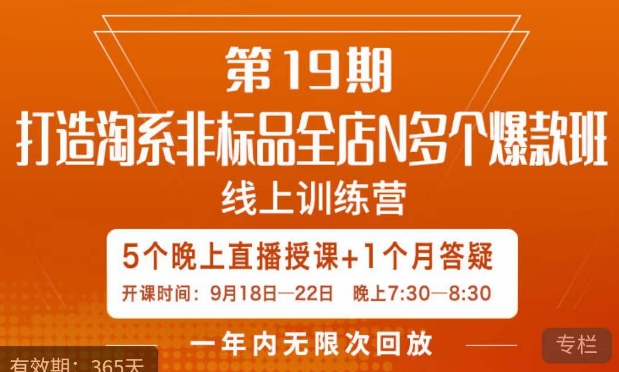 打造淘系非标全店N多个爆款线上课,5天直播课-知一资源网