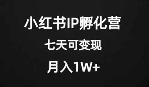 价值2000+的小红书IP孵化营项目,超级大蓝海,七天即可开始变现,稳定月入1W+-知一资源网