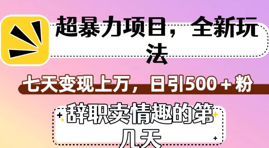 超暴利项目,全新玩法(辞职卖情趣的第几天),七天变现上万,日引500+粉【揭秘】-知一资源网