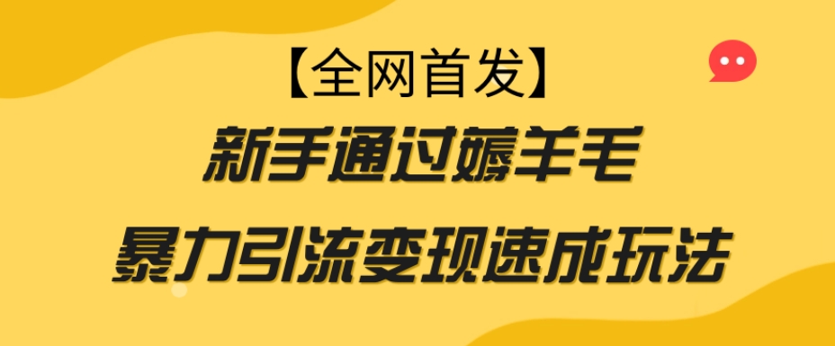 【全网首发】新手通过薅羊毛暴力引流变现速成玩法-知一资源网
