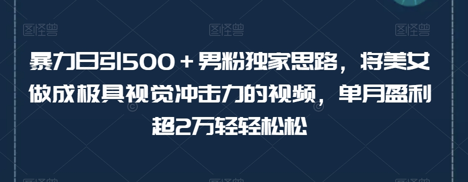 暴力日引500+男粉独家思路,将美女做成极具视觉冲击力的视频,单月盈利超2万轻轻松松-知一资源网