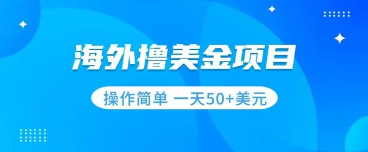 撸美金项目无门槛操作简单小白一天50+美刀-知一资源网