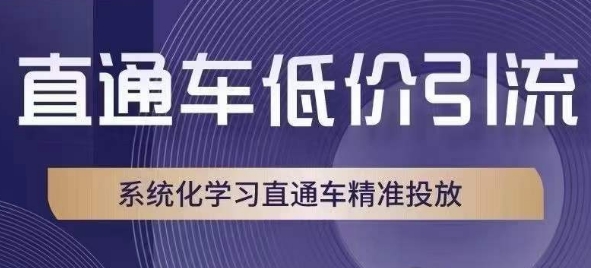 直通车低价引流课,系统化学习直通车精准投放-知一资源网