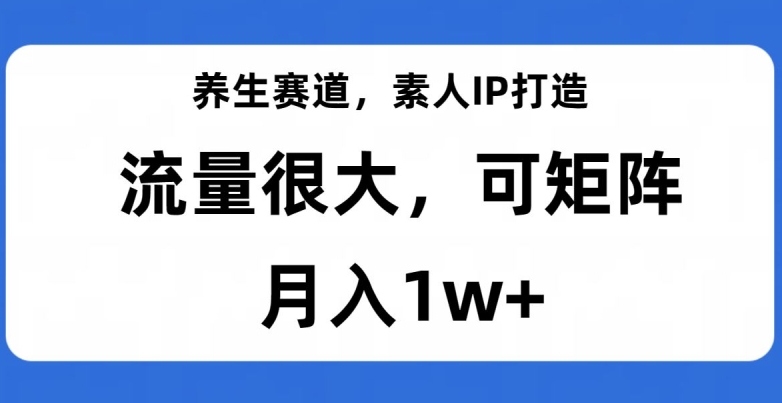 养生赛道,素人IP打造,流量很大,可矩阵,月入1w+【揭秘】-知一资源网