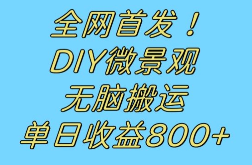 全网首发冷门赛道!DIY微景观,无脑搬运视频,日收益800+【揭秘】-知一资源网