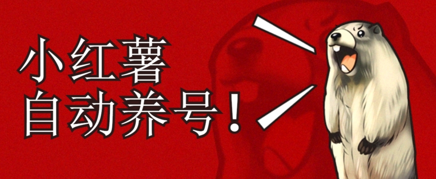 小红书养号秘籍,如何自动涨粉清晰系统标签打造高权重账号【揭秘】-知一资源网