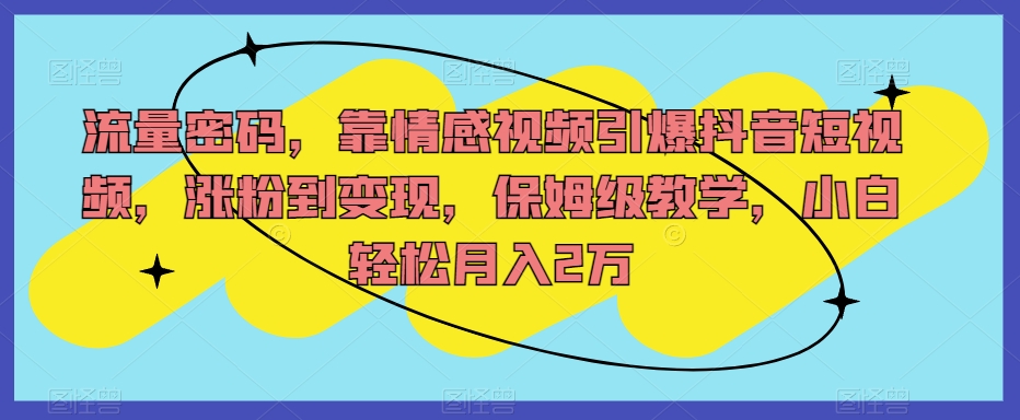 流量密码,靠情感视频引爆抖音短视频,涨粉到变现,保姆级教学,小白轻松月入2万【揭秘】-知一资源网