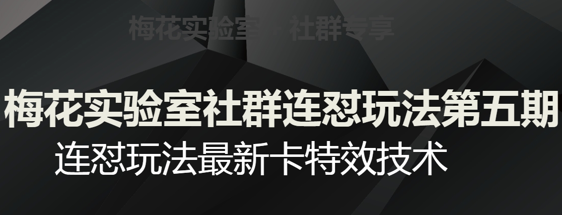 梅花实验室社群连怼玩法第五期，视频号连怼玩法最新卡特效技术-知一资源网