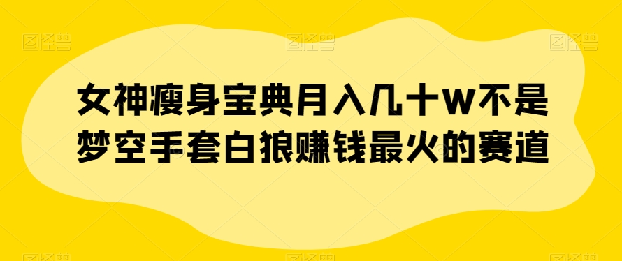 女神瘦身宝典月入几十W不是梦空手套白狼赚钱最火的赛道【揭秘】-知一资源网