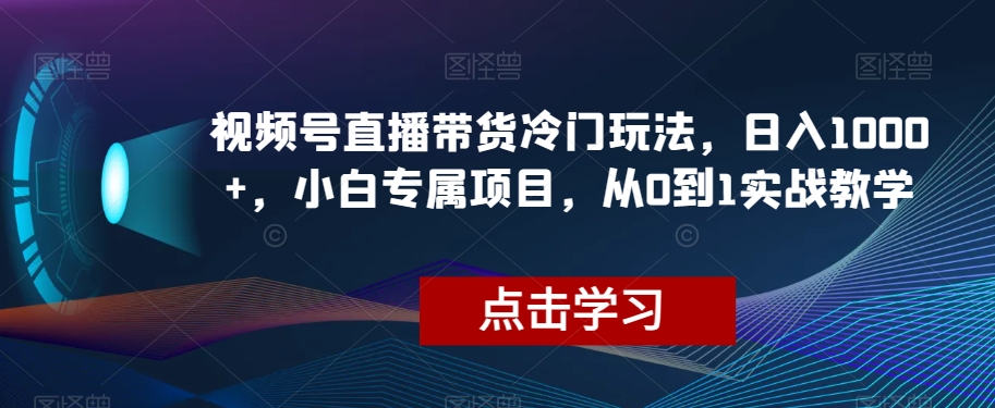 视频号直播带货冷门玩法，日入1000+，小白专属项目，从0到1实战教学【揭秘】-知一资源网