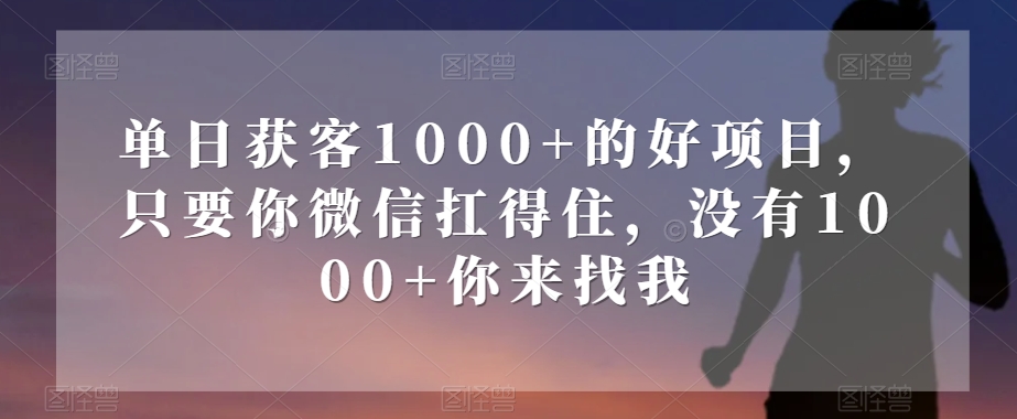 单日获客1000+的好项目，只要你微信扛得住，没有1000+你来找我【揭秘】-知一资源网