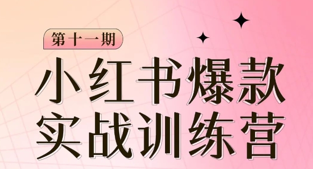 小红书博主爆款训练营第11期,手把手教你从0-1做小红书,从定位到起号到变现-知一资源网