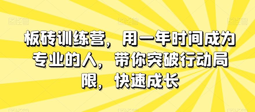 板砖训练营,用一年时间成为专业的人,带你突破行动局限,快速成长-知一资源网