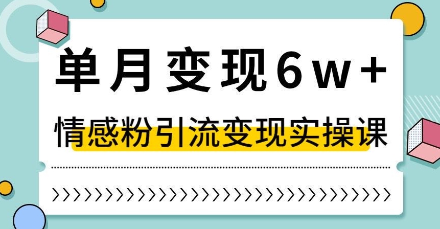 单月变现6W+，抖音情感粉引流变现实操课，小白可做，轻松上手，独家赛道【揭秘】-知一资源网