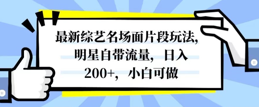 最新综艺名场面片段玩法，明星自带流量，日入200+，小白可做【揭秘】-知一资源网