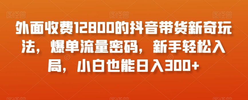 外面收费12800的抖音带货新奇玩法,爆单流量密码,新手轻松入局,小白也能日入300+【揭秘】-知一资源网
