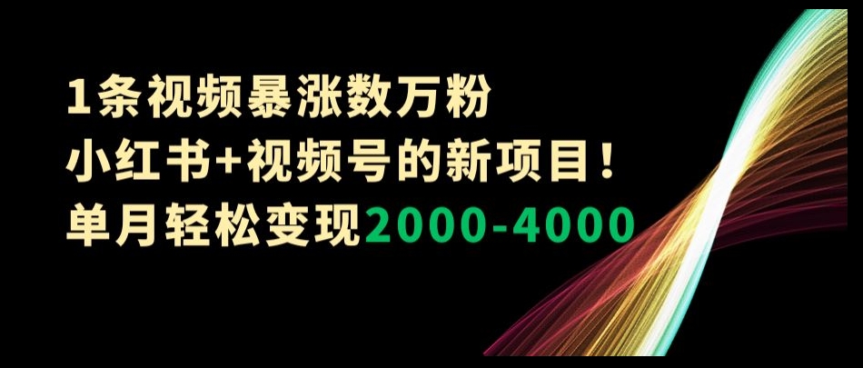 1条视频暴涨数万粉–小红书+视频号的新项目!单月轻松变现2000-4000【揭秘】-知一资源网