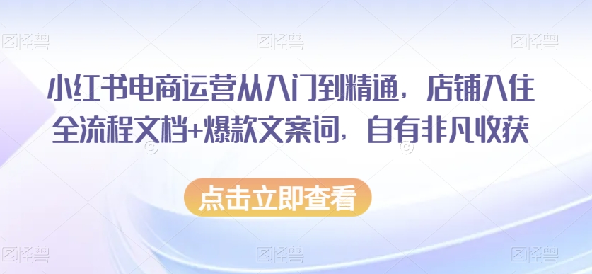 小红书电商运营从入门到精通,店铺入住全流程文档+爆款文案词,自有非凡收获-知一资源网