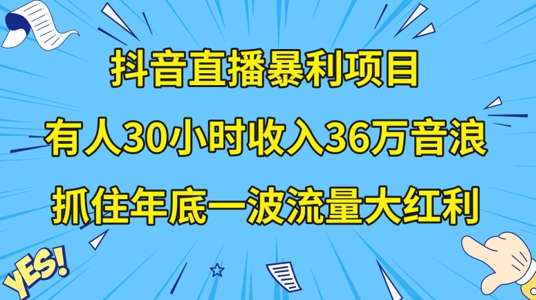 抖音直播暴利项目,有人30小时收入36万音浪,公司宣传片年会视频制作,抓住年底一波流量大红利【揭秘】-知一资源网