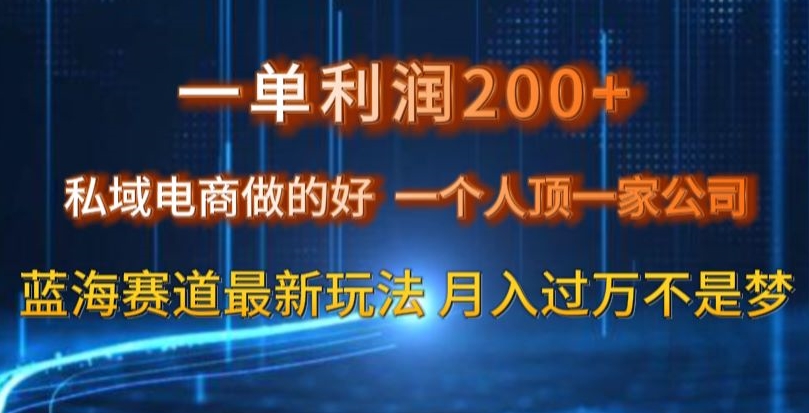 一单利润200私域电商做的好，一个人顶一家公司蓝海赛道最新玩法【揭秘】-知一资源网