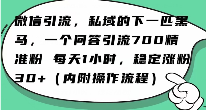 怎么搞精准创业粉?微信新赛道,每天一小时,利用Ai一个问答日引100精准粉-知一资源网