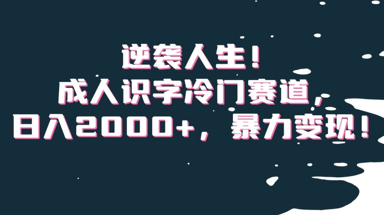 逆袭人生!成人识字冷门赛道,日入2000+,暴力变现!【揭秘】-知一资源网