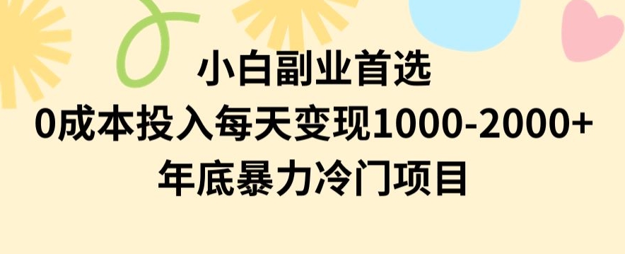 小白副业首选，0成本投入，每天变现1000-2000年底暴力冷门项目【揭秘】-知一资源网